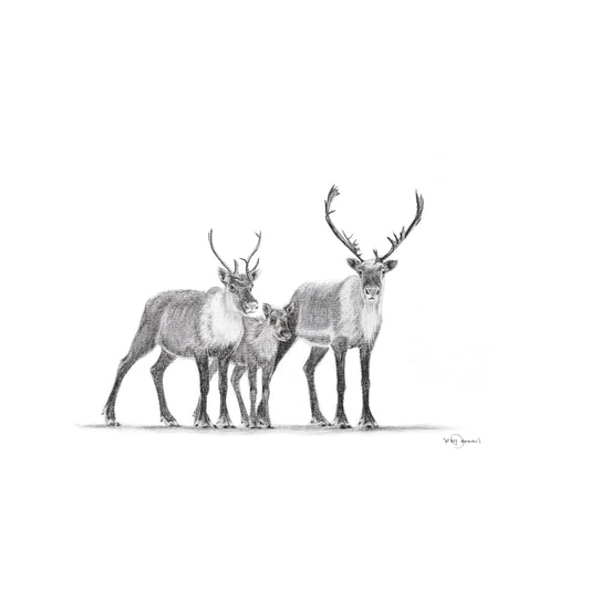 Carte de vœux Famille Caribou