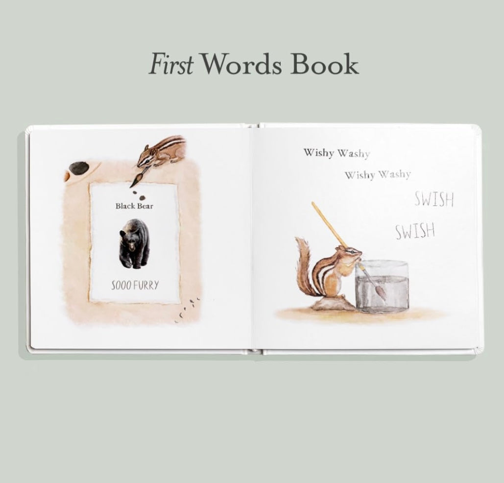 Wishy Washy : Un livre cartonné de premiers mots et de couleurs pour les esprits en développement | Livres