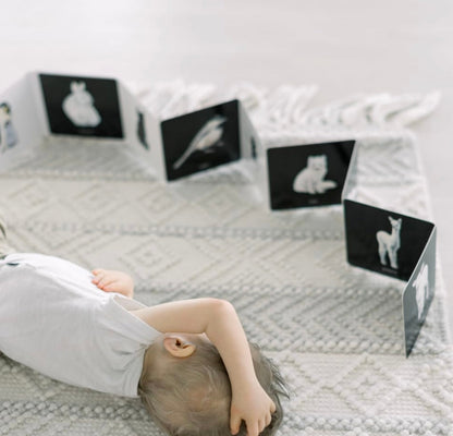 Livre de contraste noir et blanc pour bébé | Livres