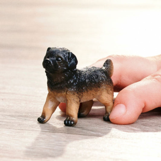 Chiot berger allemand
