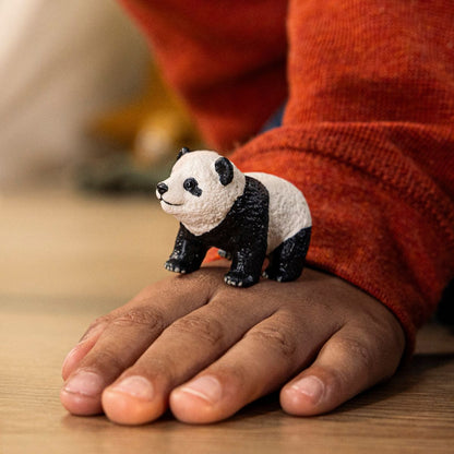Curious Giant Panda Cub