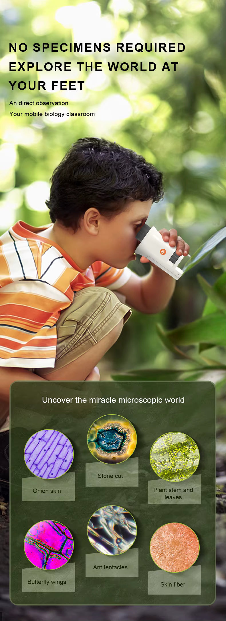 Exploring With Microscope