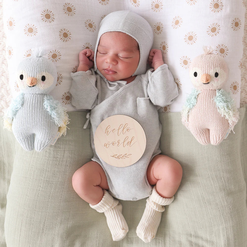 Bébé Perroquet | Bleu Ciel | Cuddle + Kind