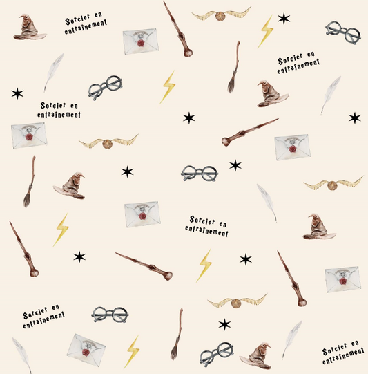 Giant Wizard Minky Blanket ⚡️