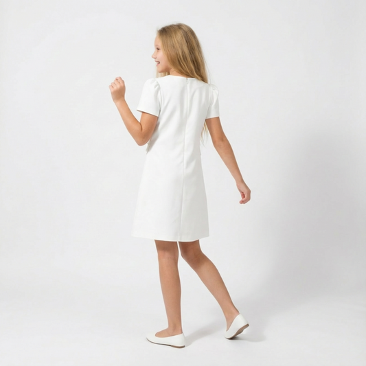 Royal Button A-Line Dress