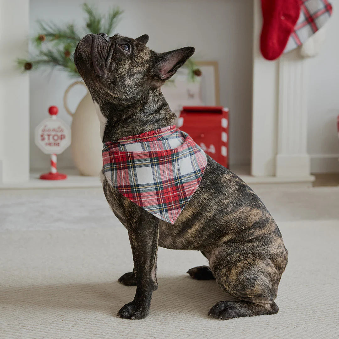 Bandana pour chien | Tartan à carreaux rouge | Petit Lem