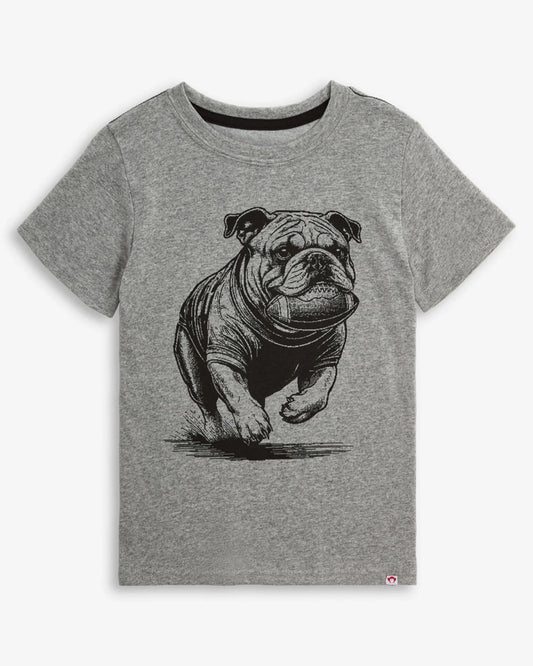 T-shirt à manches courtes Appaman Mascot gris
