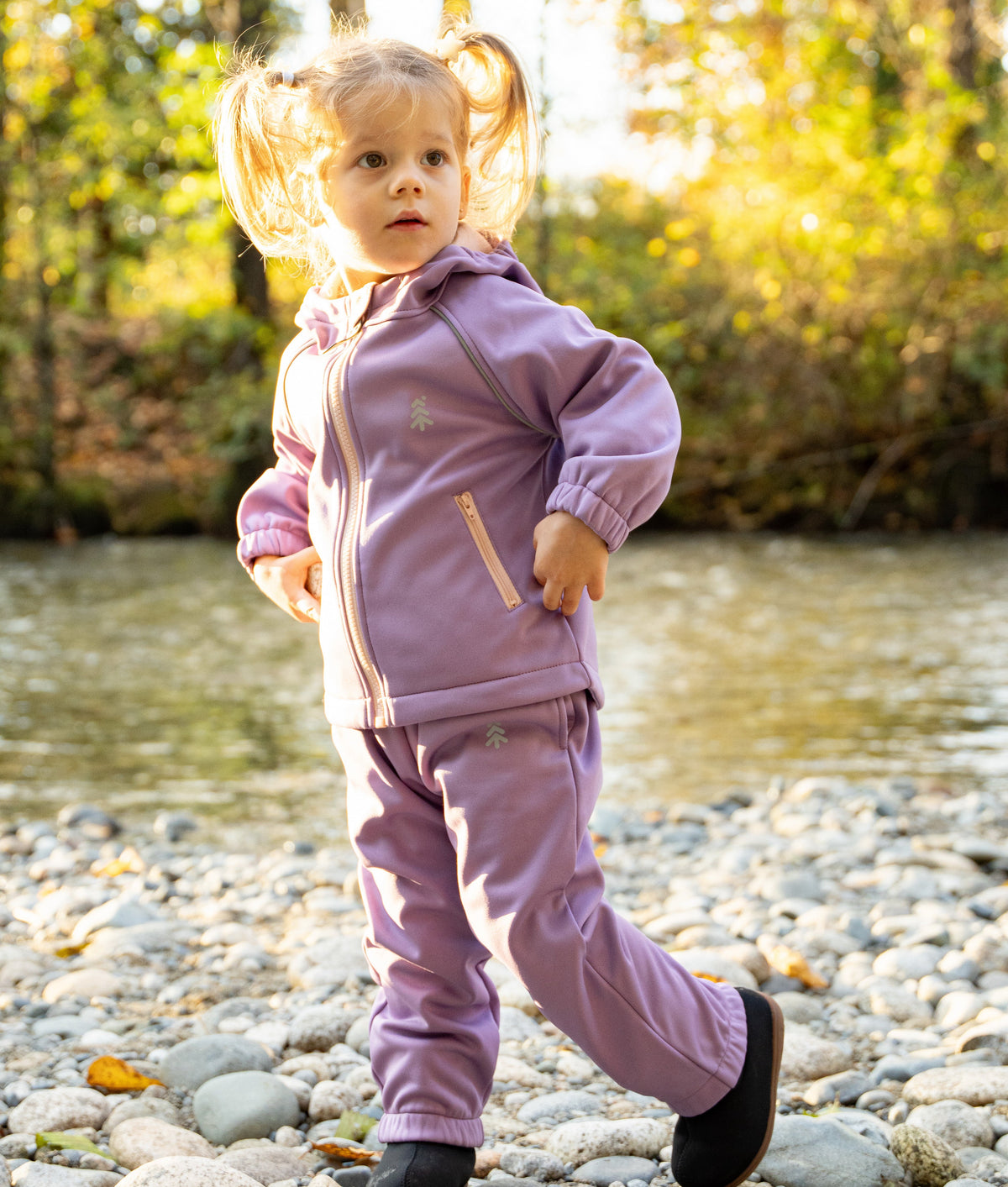 Verdant Softshell Water Resistant Jacket (Harvest Plum)