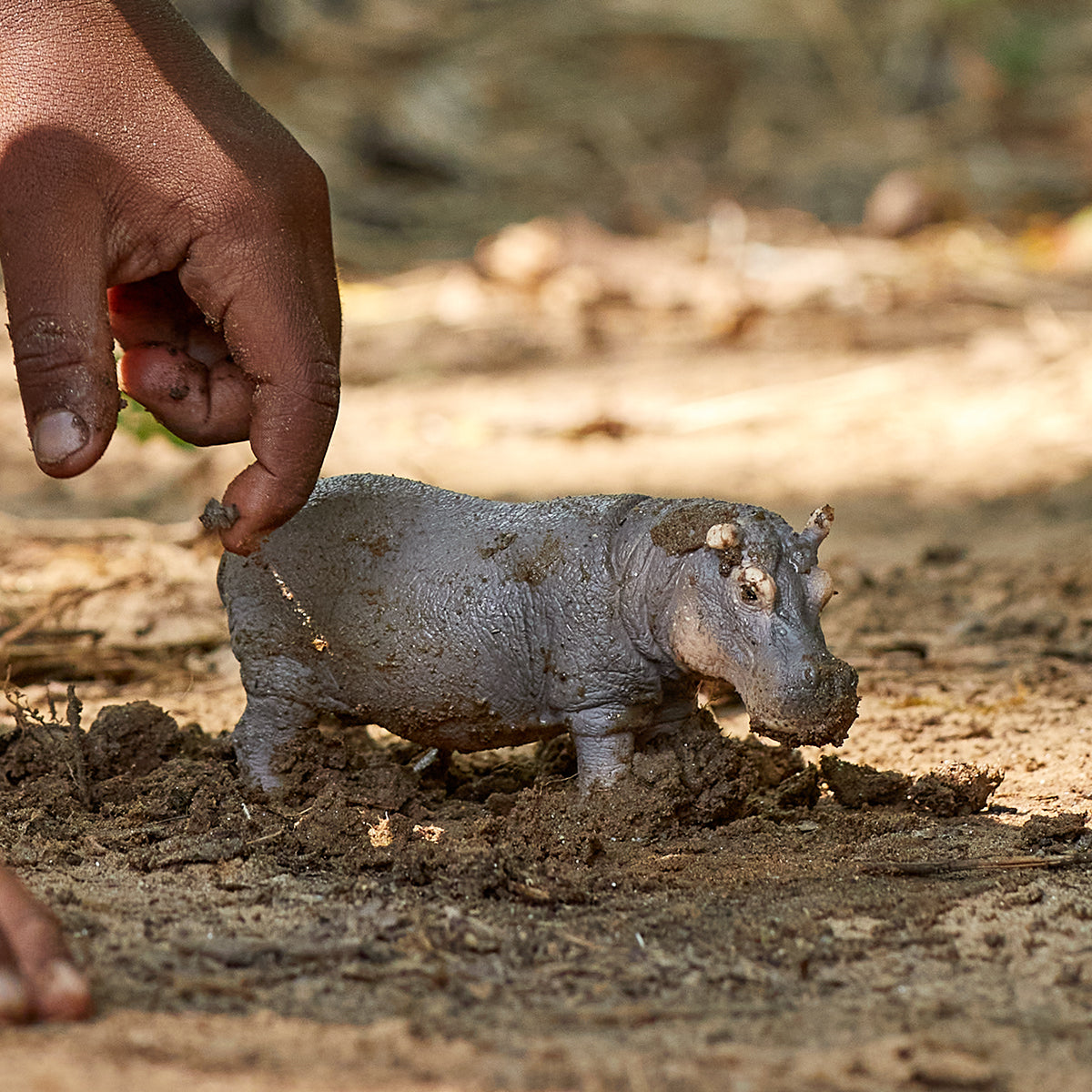 River-Walking Hippopotamus Figure