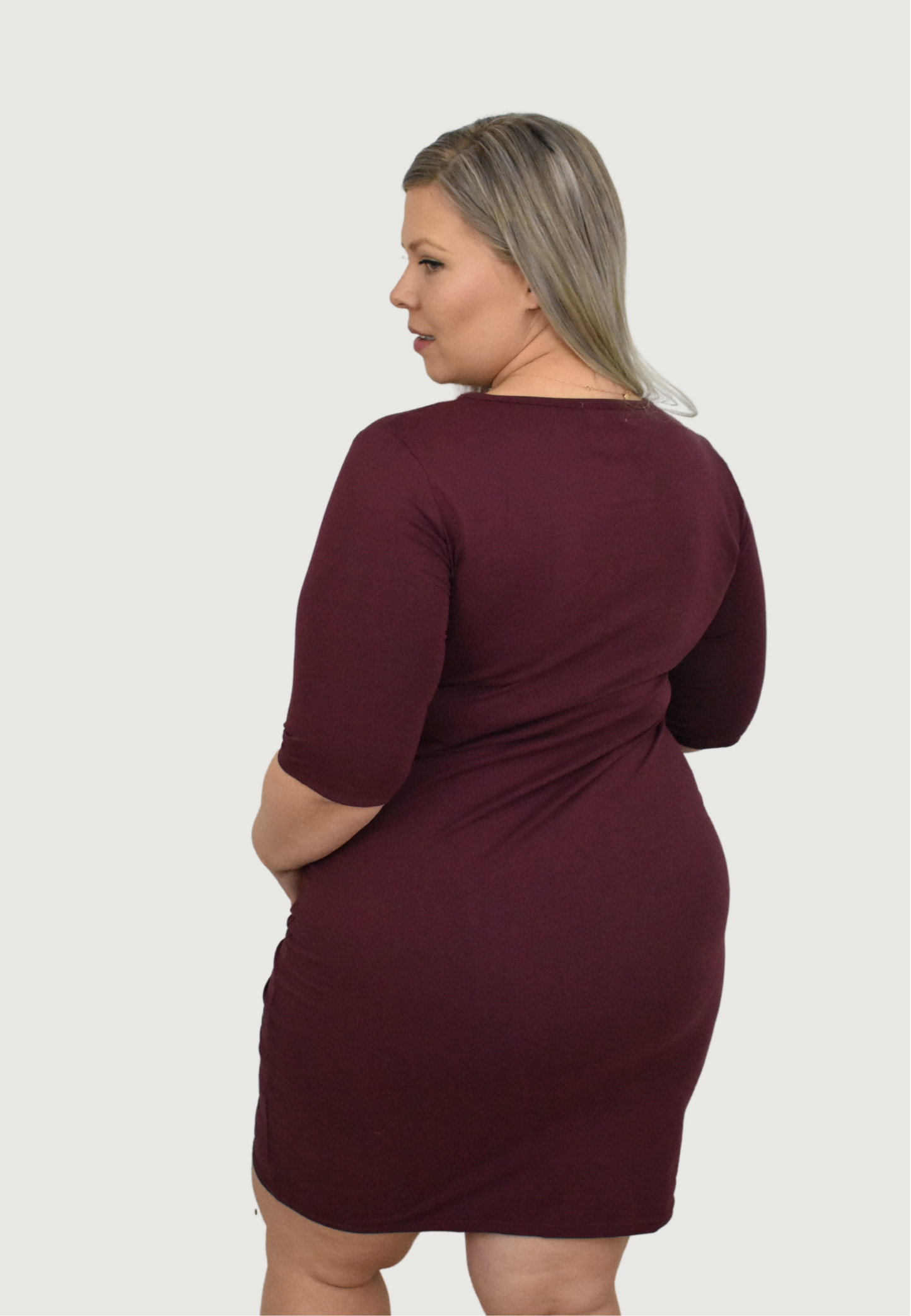 Jackie Maternity and Nursing Dress