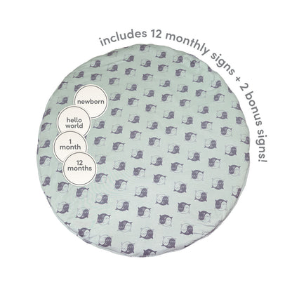 Rayon from Bamboo Playmat & Monthly Sign Card Set (Yin Yang Seals Print)
