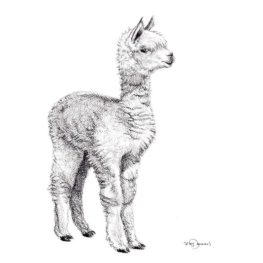 Adorable alpaga - impression d'art