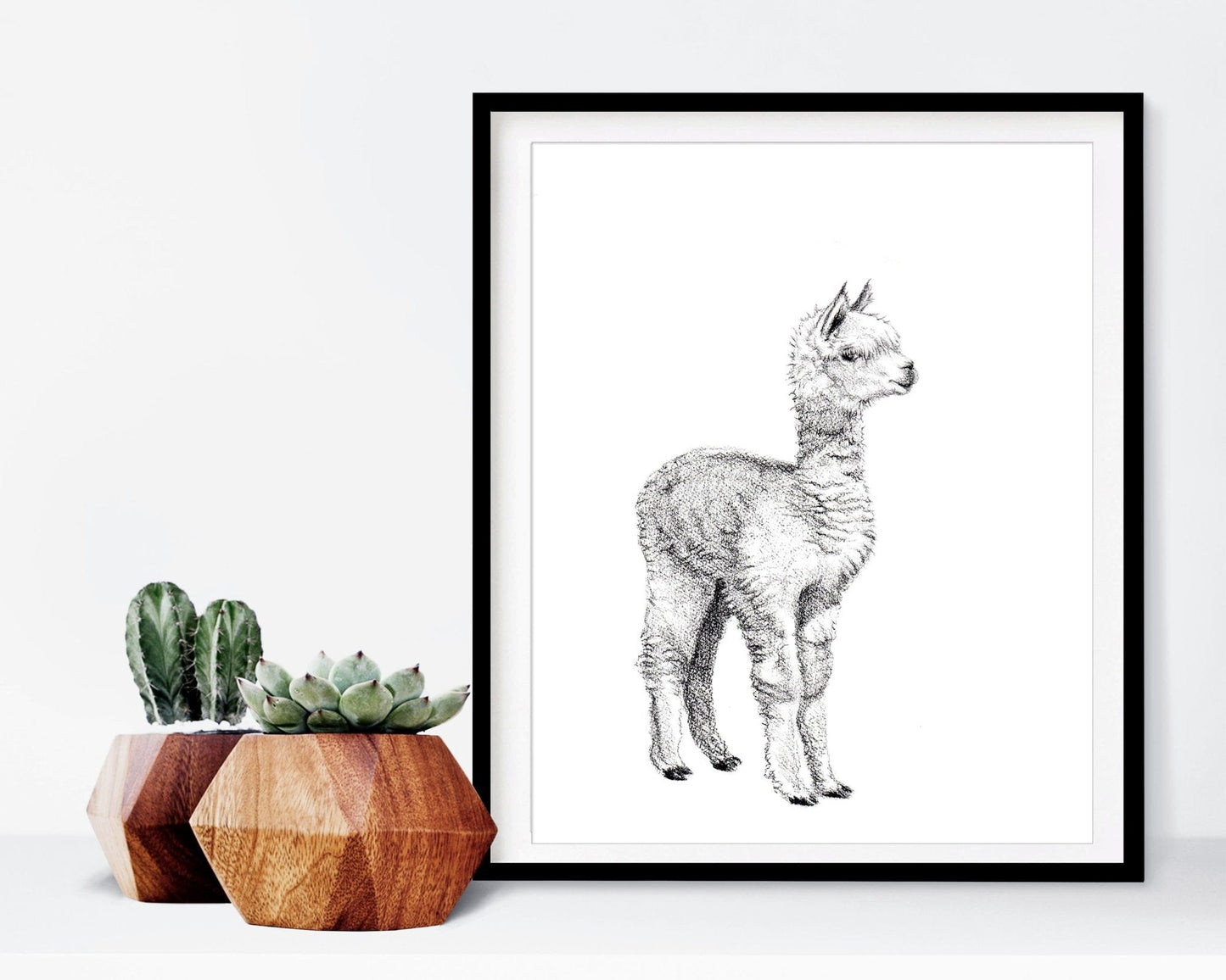 Adorable alpaga - impression d'art