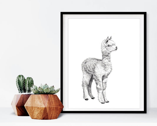 Adorable alpaga - impression d'art
