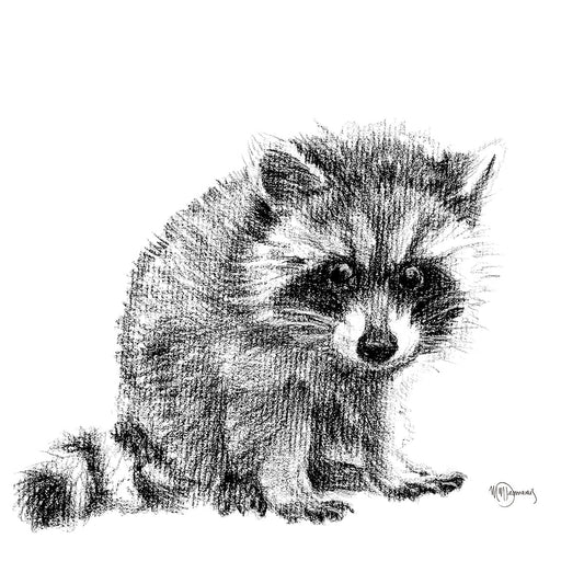 Adorable Bébé Raton Laveur - Impression d'Art Noir et Blanc Animaux Sauvages pour Chambre d'Enfant