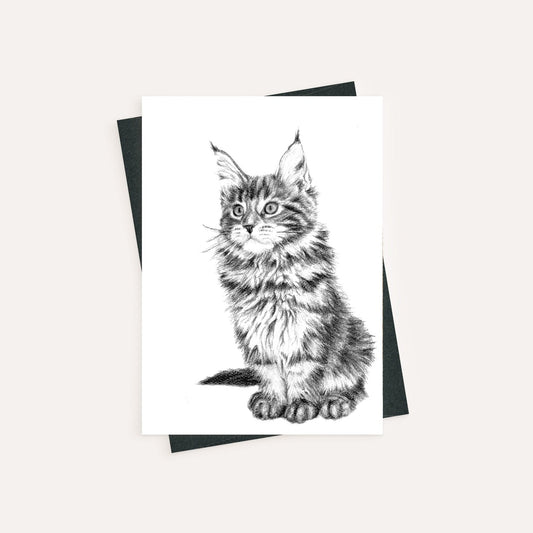 Adorable chat - carte de vœux