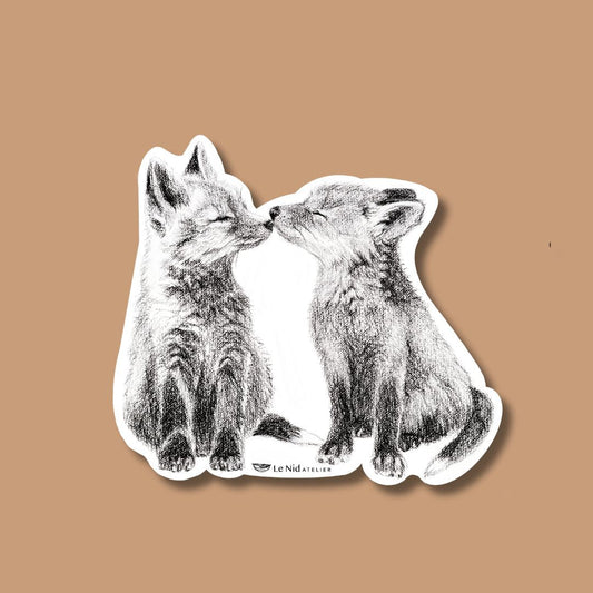 Aimant Renards adorables