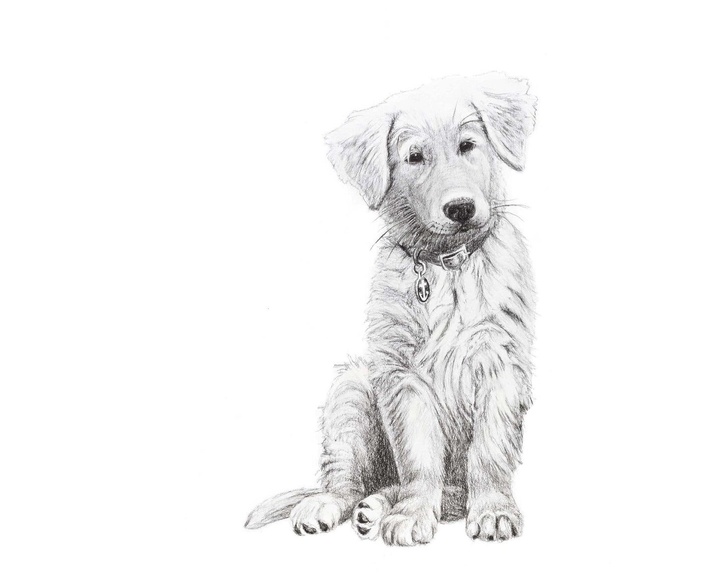Chien - Bébé Golden Retriever - Impression d'art noir et blanc pour chambre d'enfant