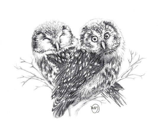 Adorables hiboux amoureux - impression d'art