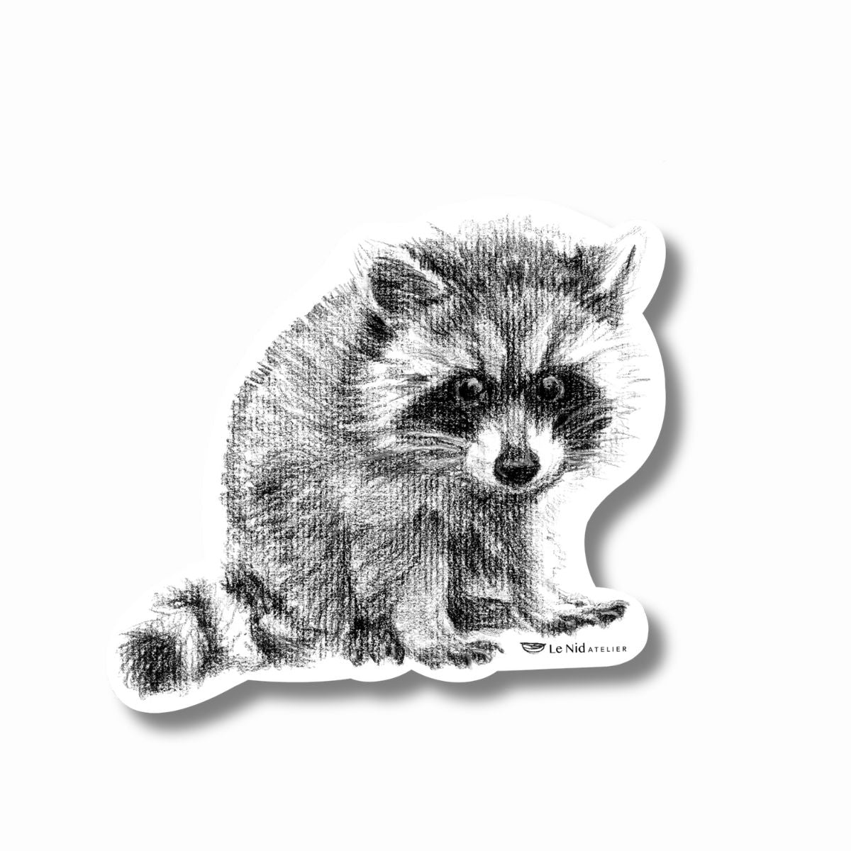 Adorable aimant raton laveur