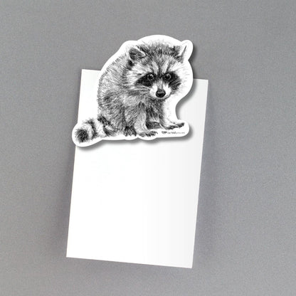 Adorable Raccoon Magnet