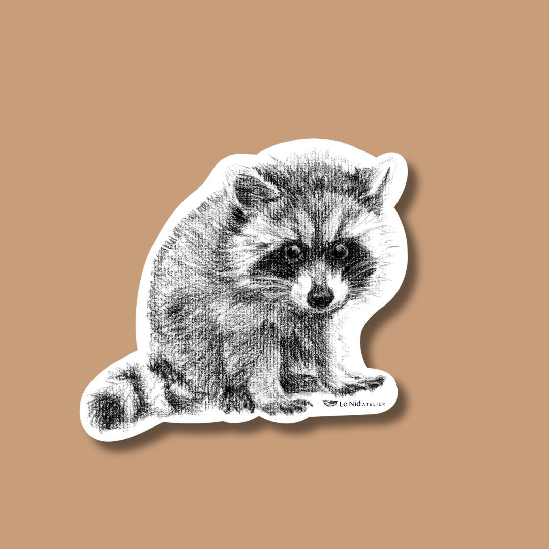Adorable aimant raton laveur