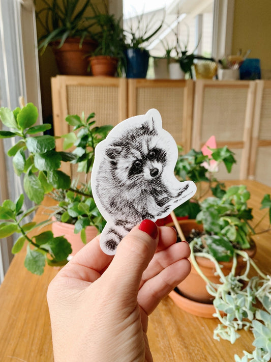 Autocollant Raton laveur adorable pour bouteille d'eau, agenda ou ordinateur