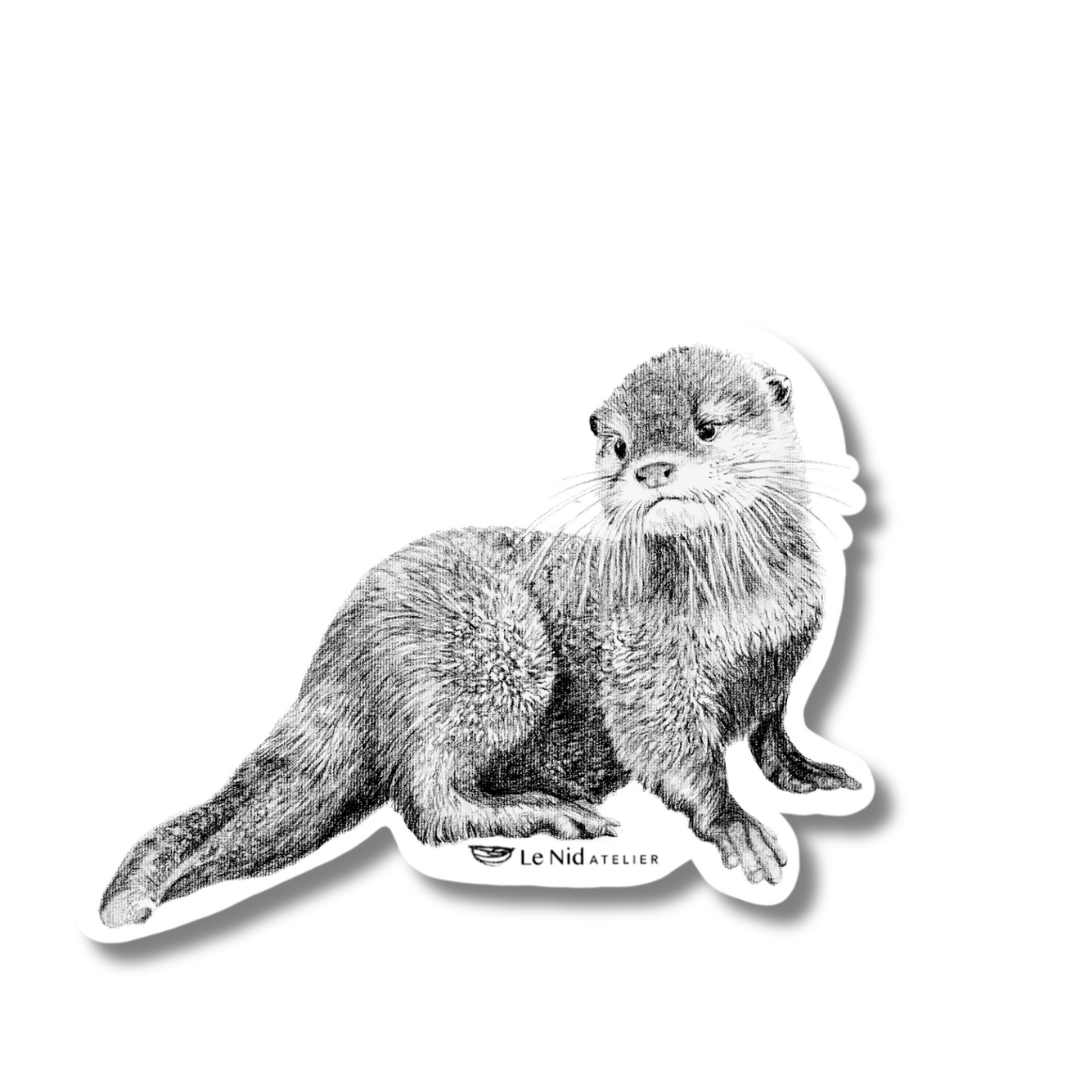 Bébé loutre – Aimant