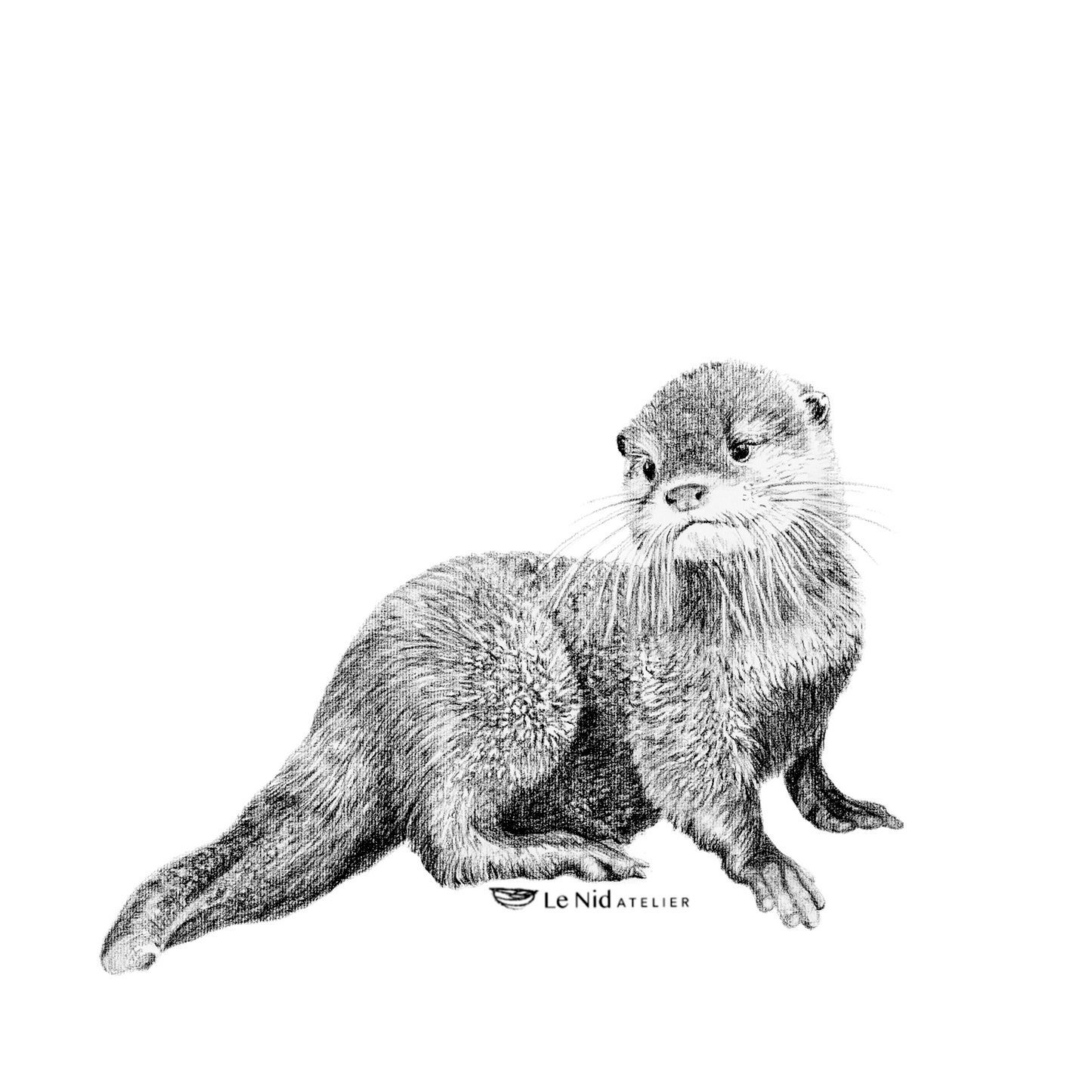 Bébé loutre – Aimant