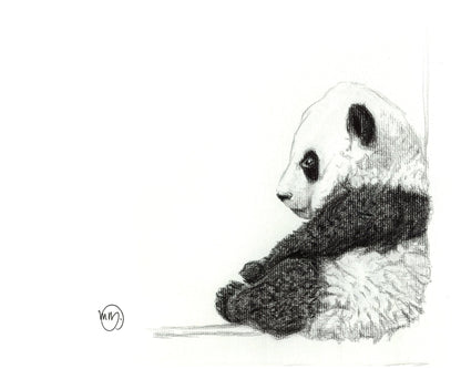 Baby Panda Greeting Card