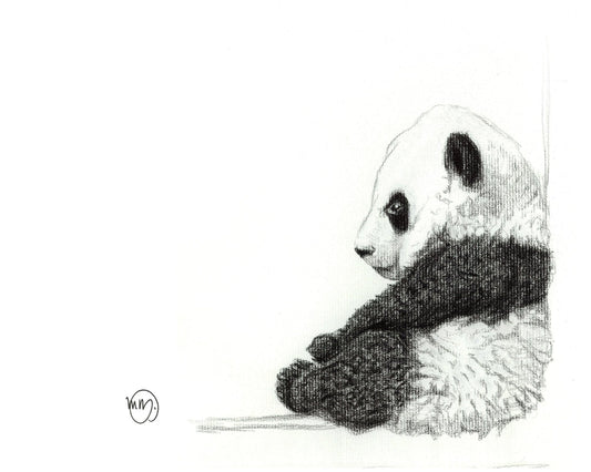 Carte de vœux Bébé Panda