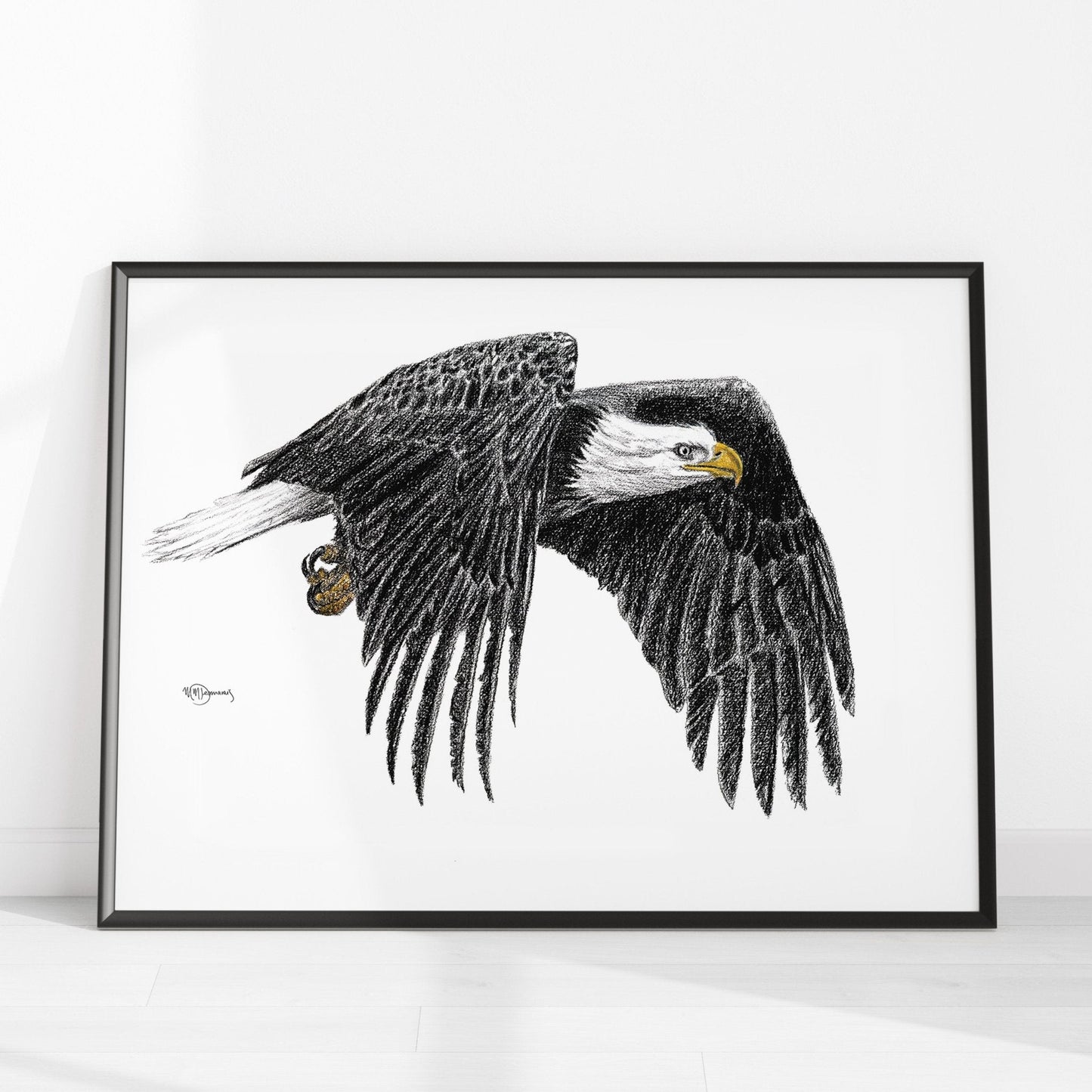 Pygargue à tête blanche - Impression d'art animalier