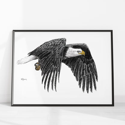 Bald Eagle - Animal Art Print