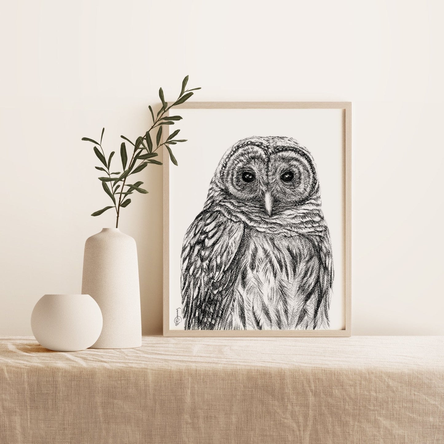Chouette rayée - Impression d'art sur papier