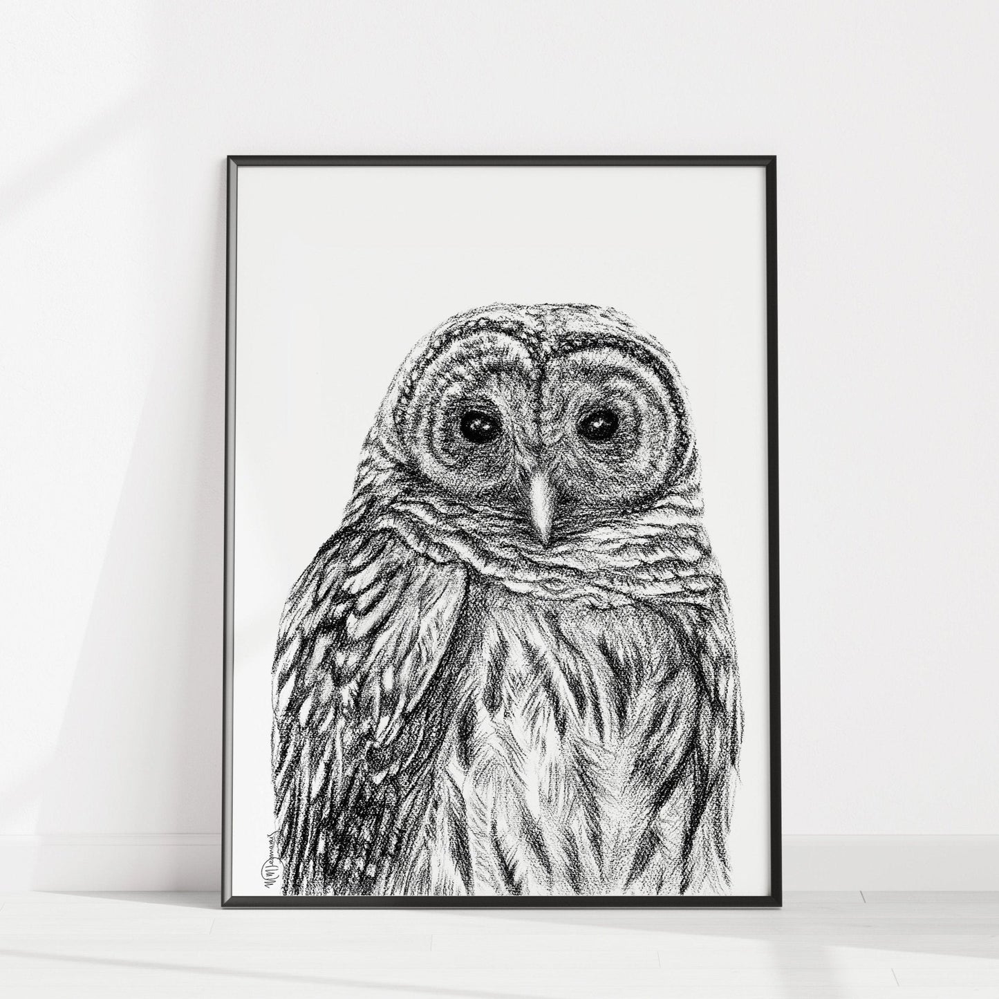 Chouette rayée - Impression d'art sur papier