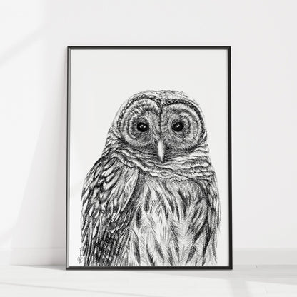 Barred Owl - Paper art Print