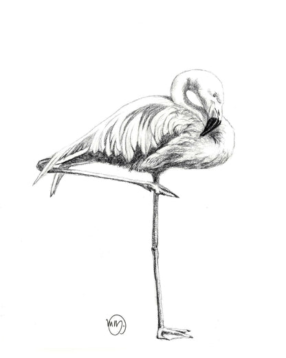 Magnifique carte de vœux flamant rose