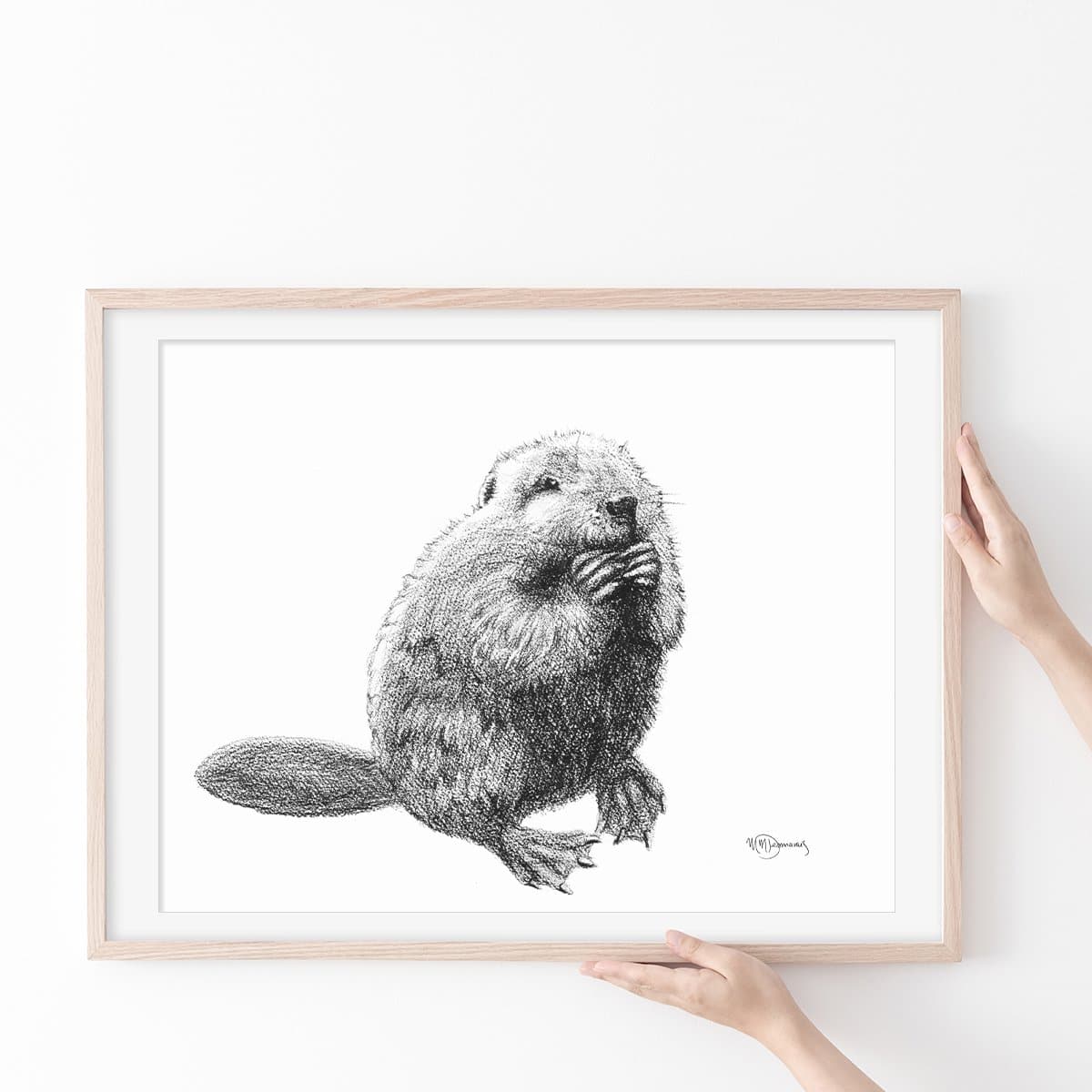 Bébé castor - impression d'art animalier