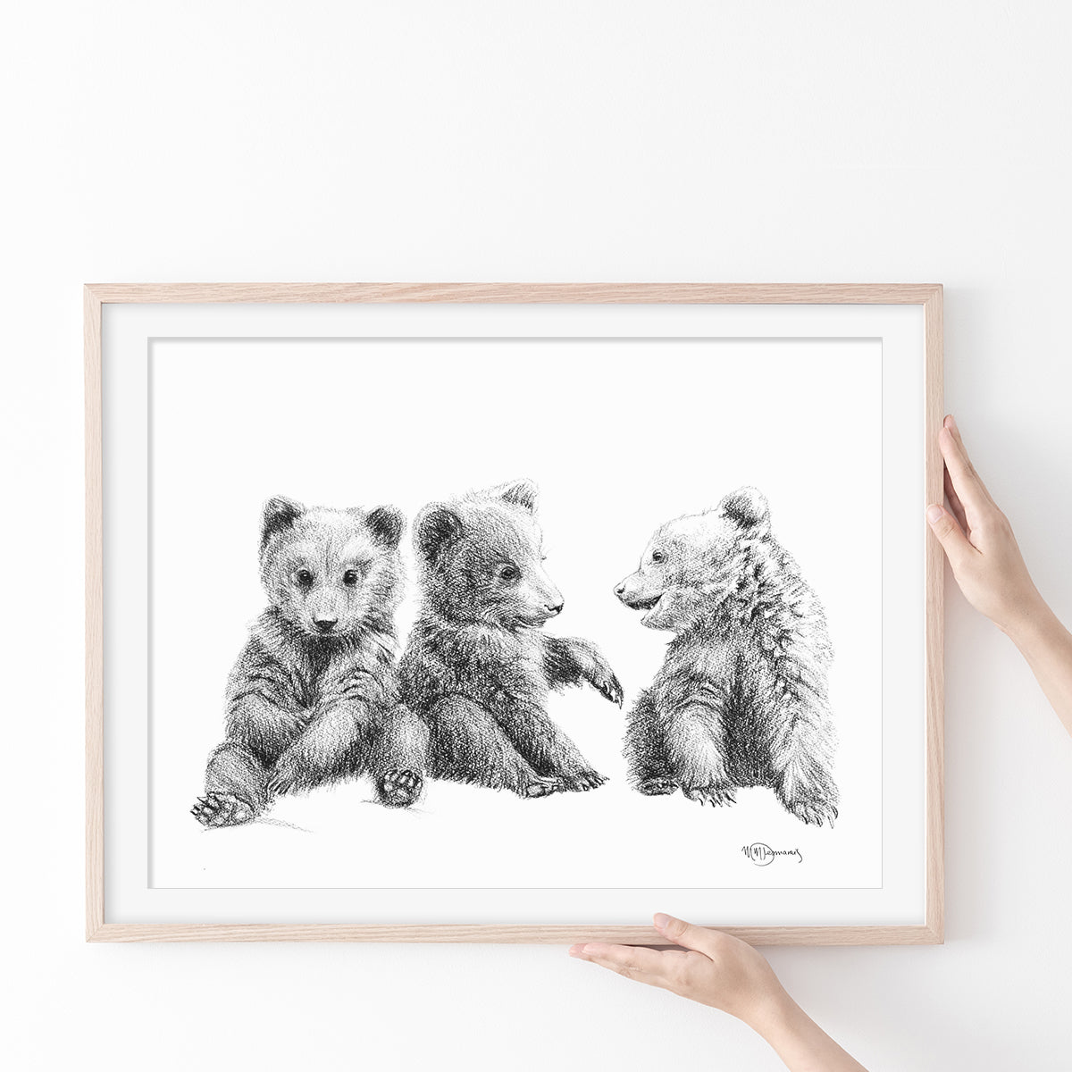 3 oursons - Illustration