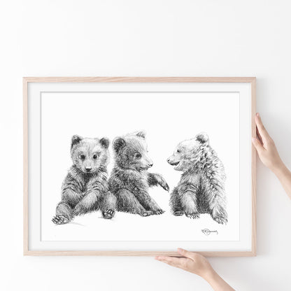 3 oursons - Illustration