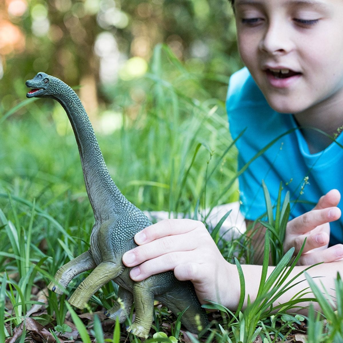 Brachiosaurus, the Arm Lizard
