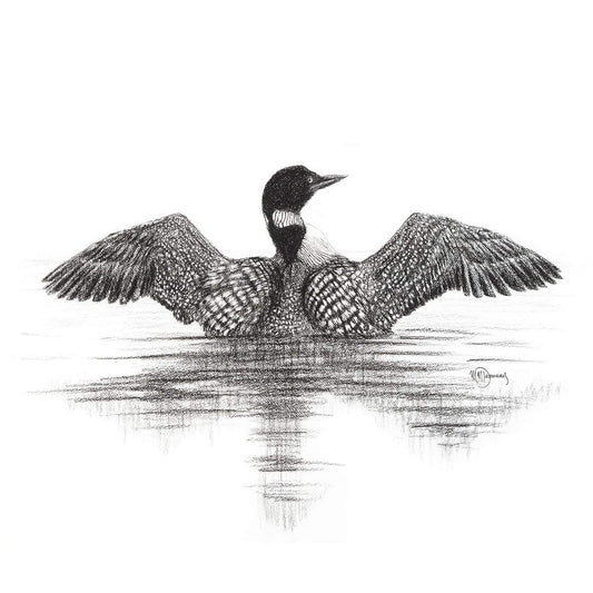 Huard canadien - impression d'art animalier