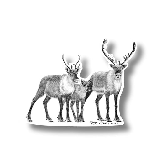 Aimant familial Caribou
