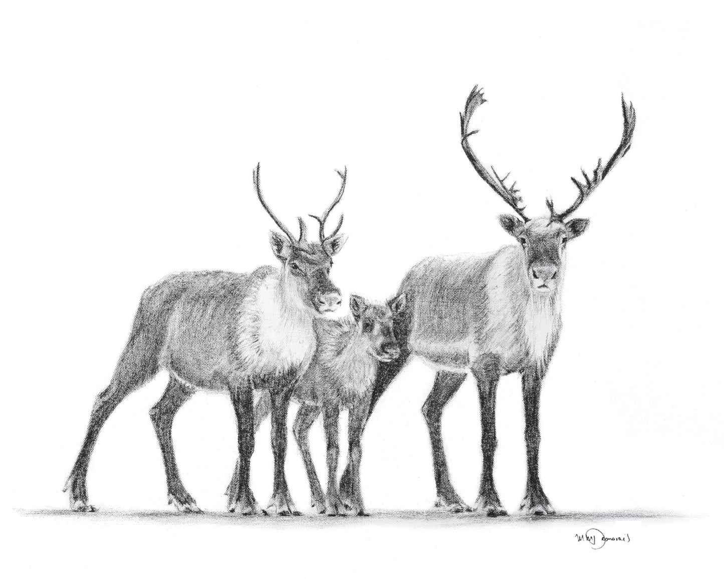 Famille de caribous - Décoration murale animaux des bois