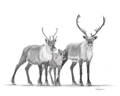 Caribous Family - Woodland Animal Wall Art