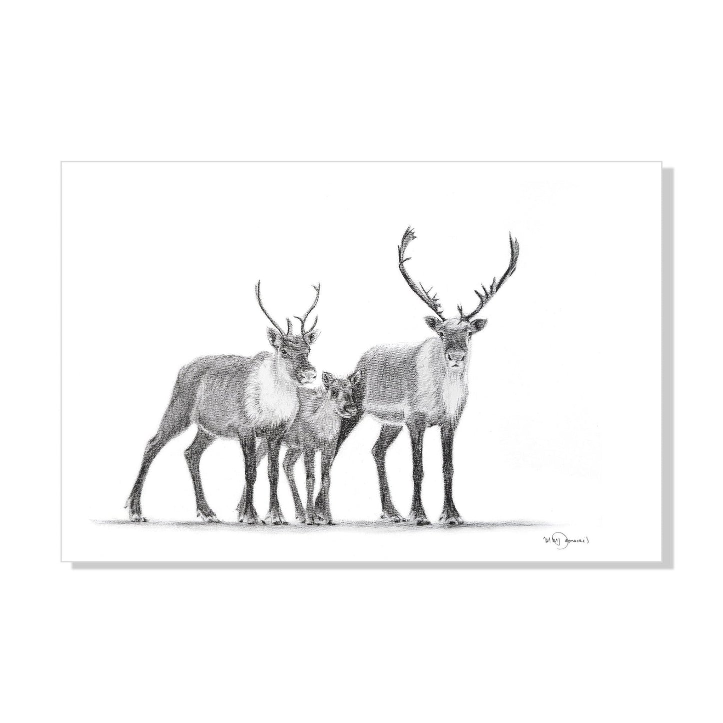 Famille de caribous - Décoration murale animaux des bois