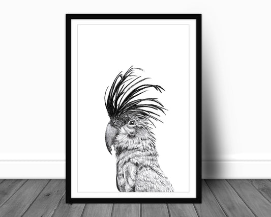 Portrait de cacatoès - impression d'art animalier