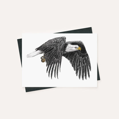 Bald Eagle  - greeting card