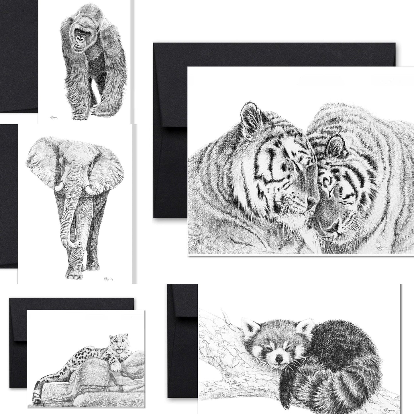 Collection complète de cartes de vœux sur le thème du zoo
