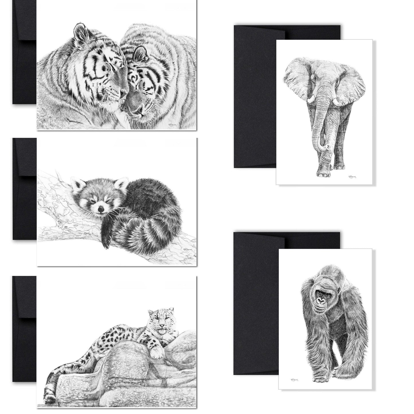 Collection complète de cartes de vœux sur le thème du zoo